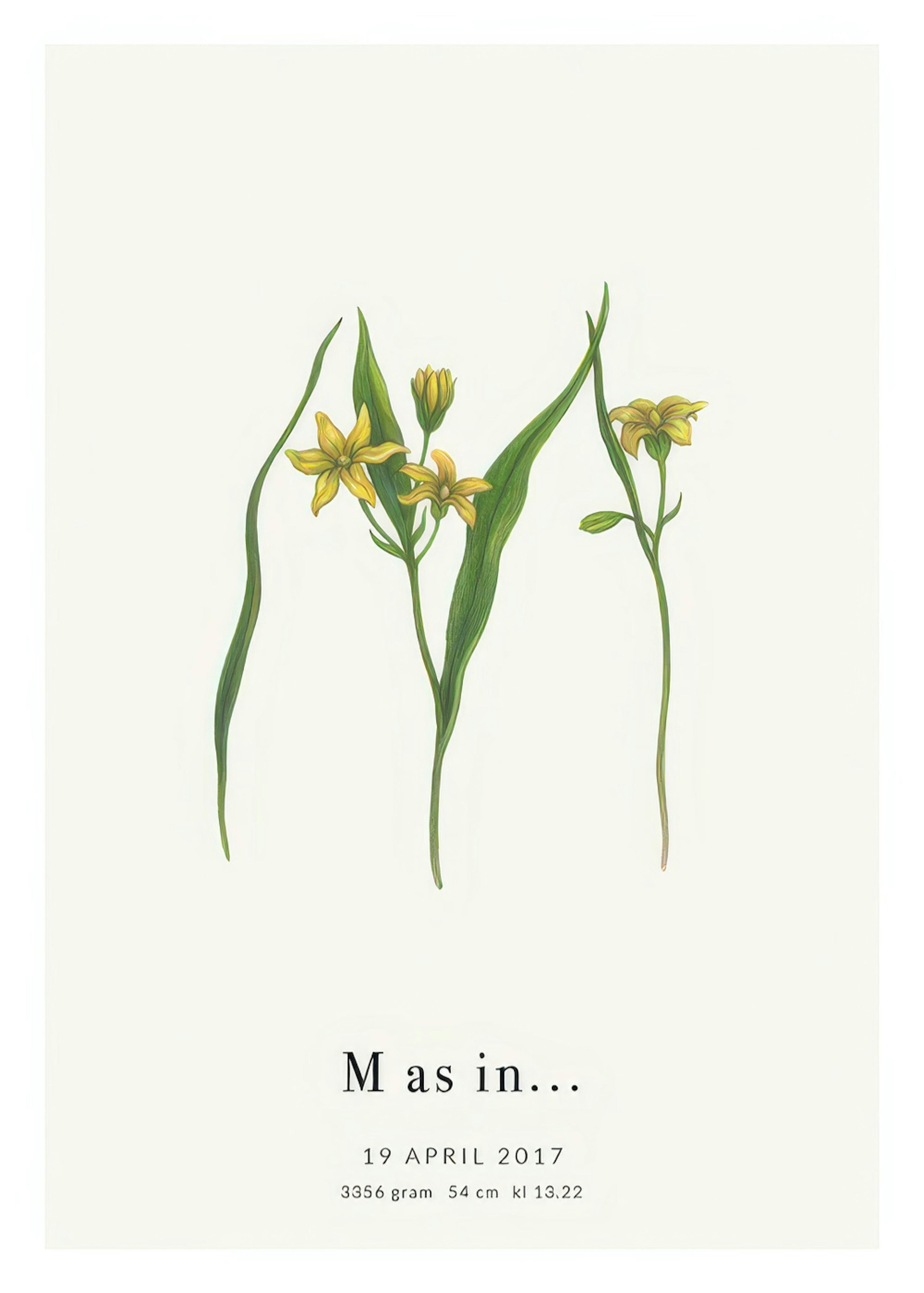 Botanic Letter M Personal Poster 0